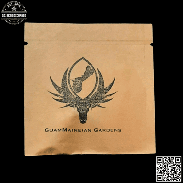 GuamMaineian Gardens Road Dog x Chamhaole 5 Regular Seeds - Image 2