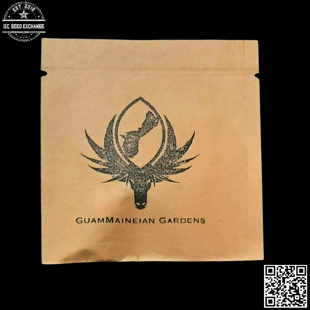 GuamMaineian Gardens Road Dog x Chamhaole 5 Regular Seeds - Image 2