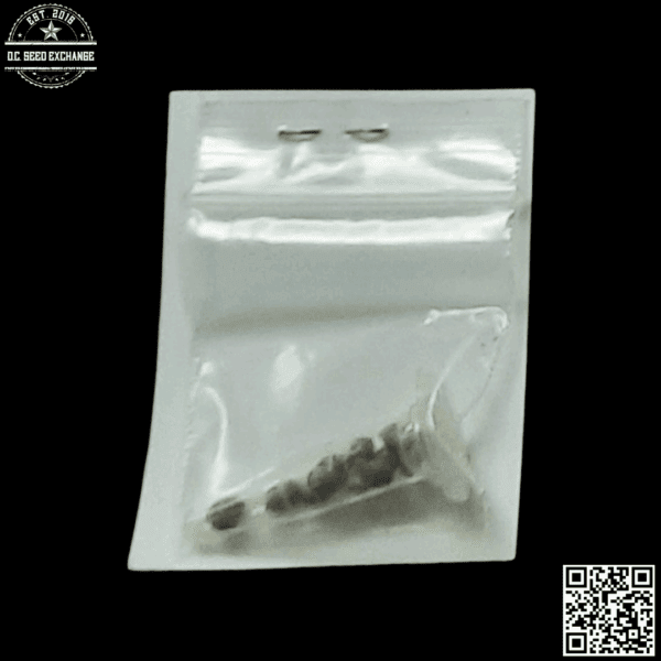 Hazeman Seeds Blue Dream x Azure Haze 10 Regular Seeds - Image 2