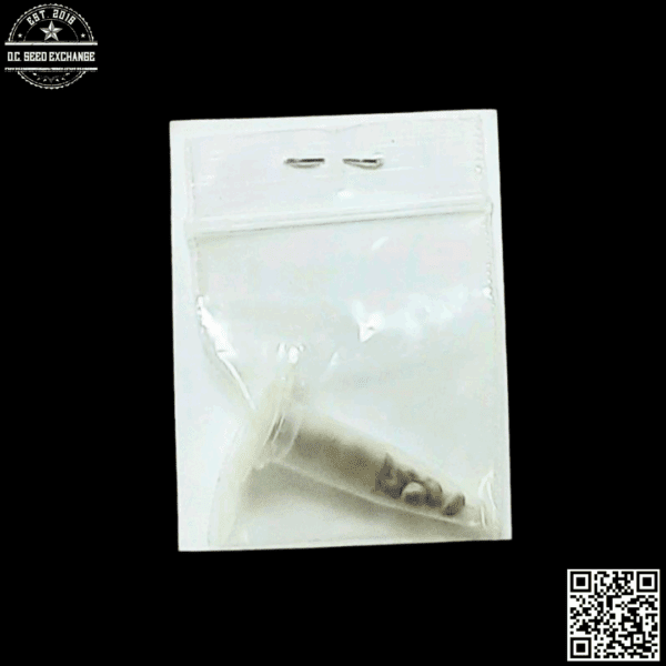 Hazeman Seeds G13 x Mikado 10 Regular Seeds - Image 2