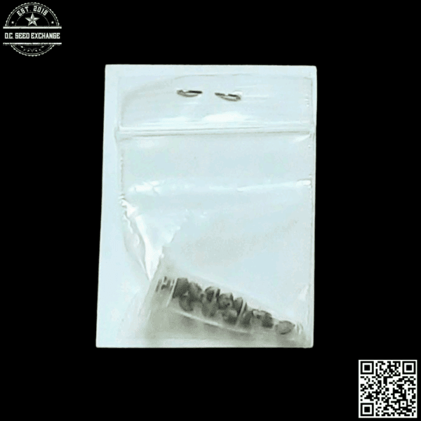 Hazeman Seeds Kodiak Gold x Tuna 10 Regular Seeds - Image 2