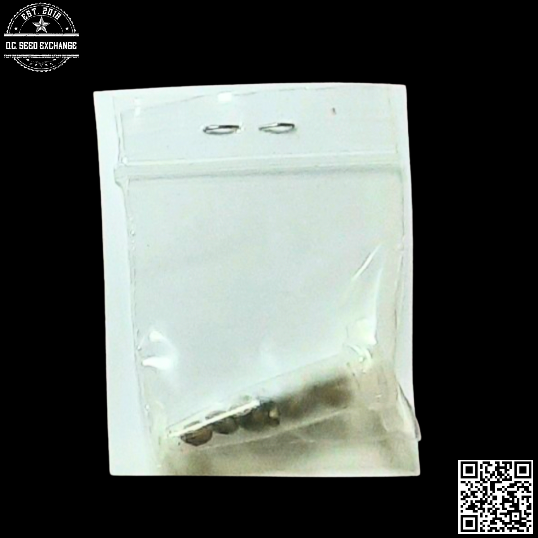 Hazeman Seeds Mikado x Headchez 10 Regular Seeds - Image 2