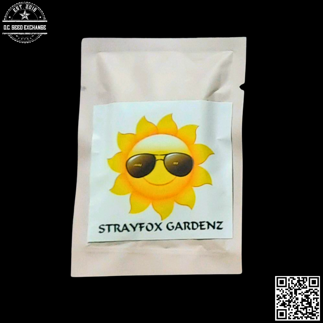 Strayfox Gardenz Left Field (Mothers Milk x Ninja Turtles) 10 Regular Seeds - Image 2