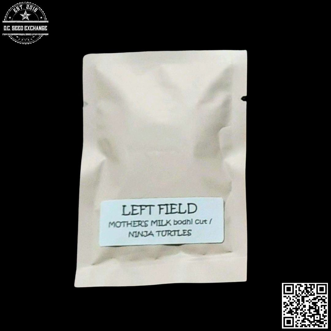 Strayfox Gardenz Left Field (Mothers Milk x Ninja Turtles) 10 Regular Seeds