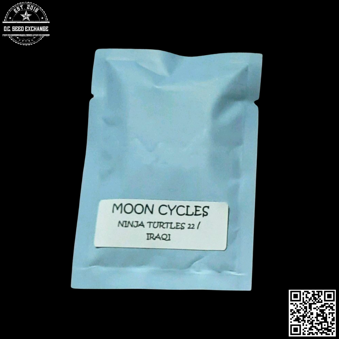 Strayfox Gardens Moon Cycles (Ninja Turtles 22 x Iraqi) 10 Regular Seeds