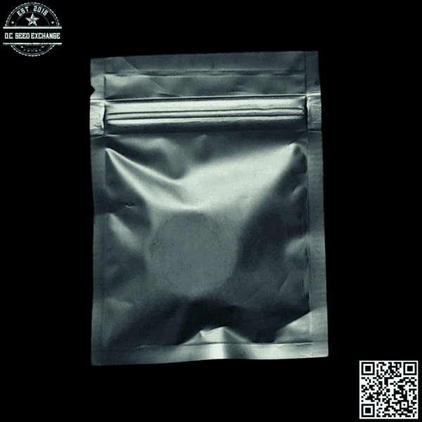 Strayfox Gardenz Gogiberry Lights (89 Northern Lights #5 x TOK/Ronnie Barrett) 10 Regular Seeds - Image 2