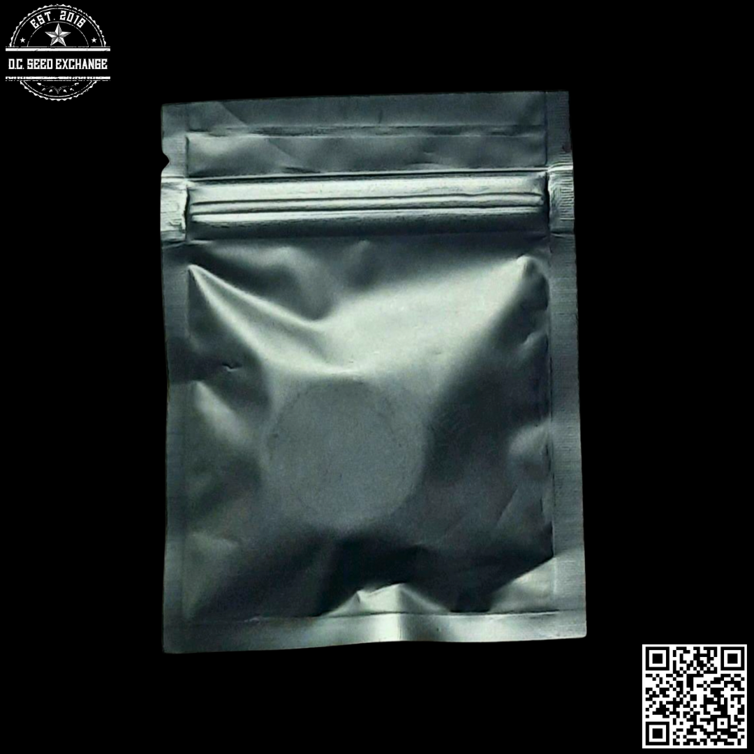 Strayfox Gardenz Gogiberry Lights (89 Northern Lights #5 x TOK/Ronnie Barrett) 10 Regular Seeds - Image 2