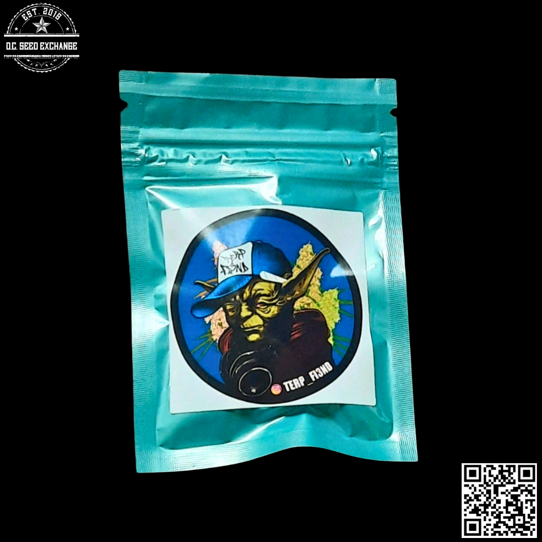 Terp Fi3nd Pineapple Sorbet F2 10 Regular Seeds - Image 2