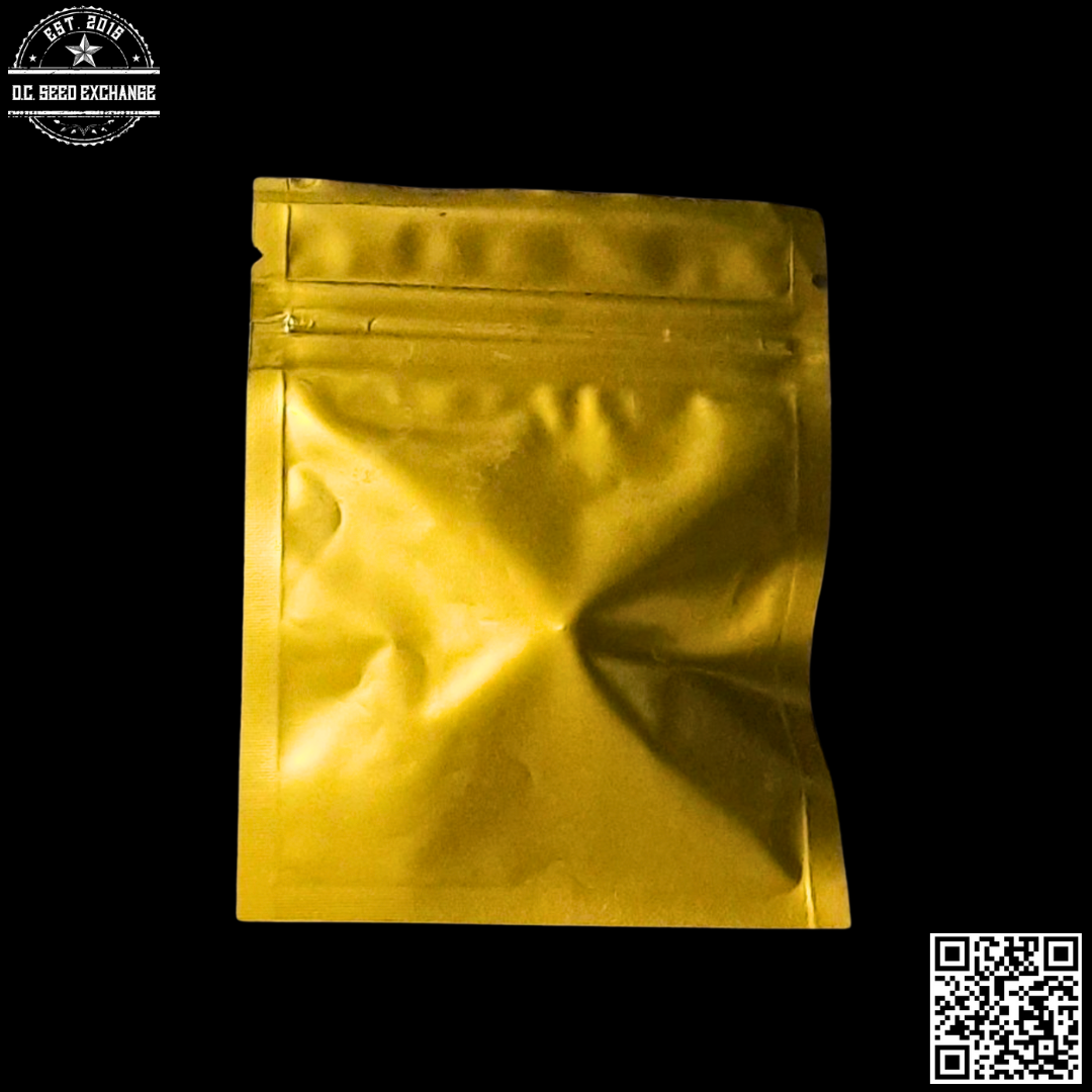 The NugLab New England Skunk (Skunk #1 x 1998 Hawaiian Skunk) 10 Regular Seeds - Image 3