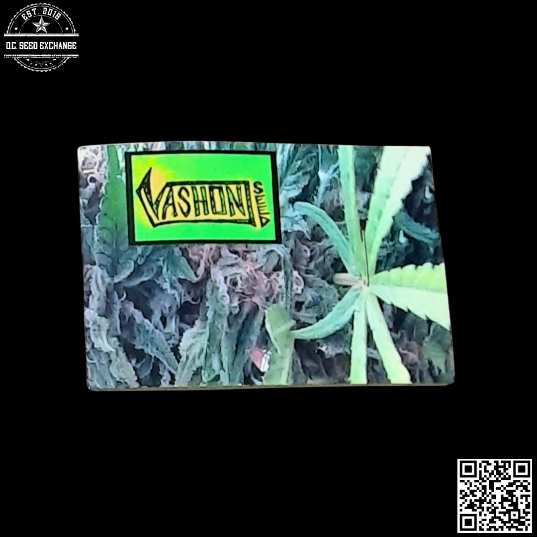 Vashon Seed Ripped Early Bird F1 (Ripped Bubba Kush x Early Bird) 10 Regular Seeds - Image 2