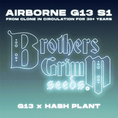 Airborne G13 S1 9 Feminized Seeds