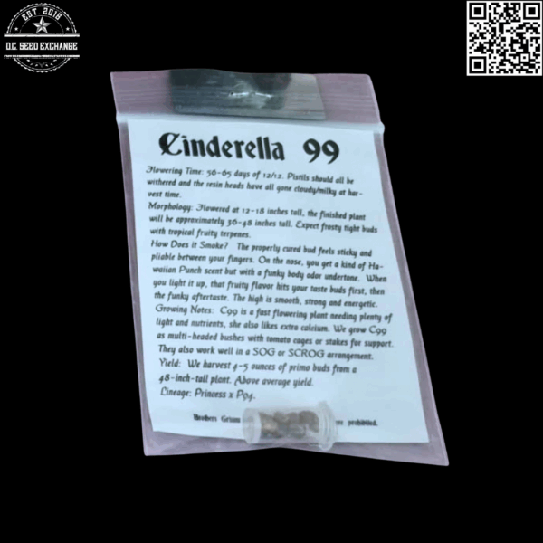 Brothers Grimm Seeds Cinderella 99 10 Regular Seeds - Image 2