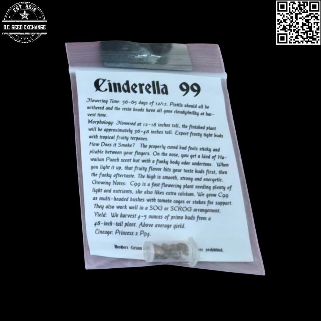 Brothers Grimm Seeds Cinderella 99 10 Regular Seeds - Image 2