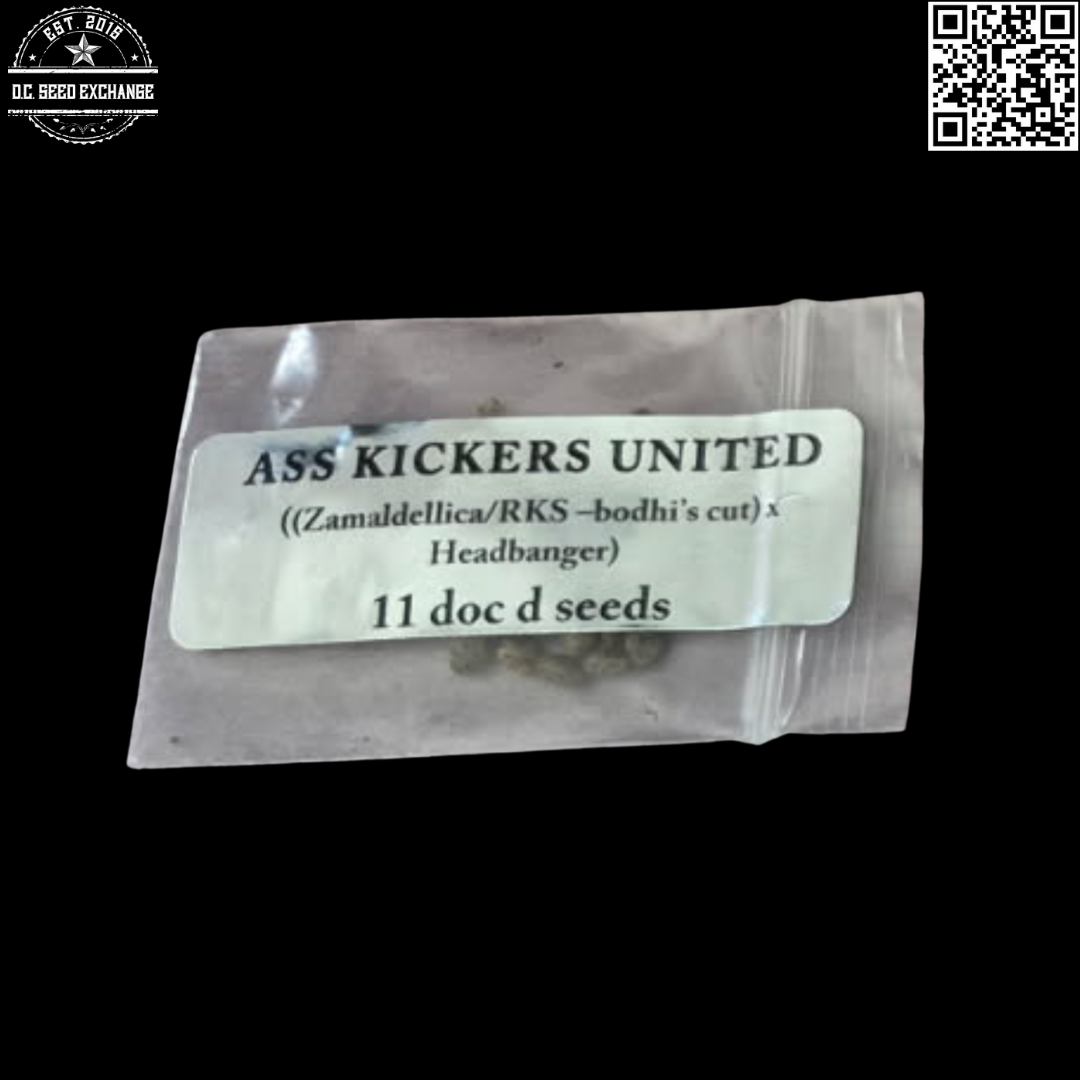 Doc D Seeds Ass Kickers United ((Zamaldellica/Roadkill Skunk) x Headbanger) 11 Regular Seeds