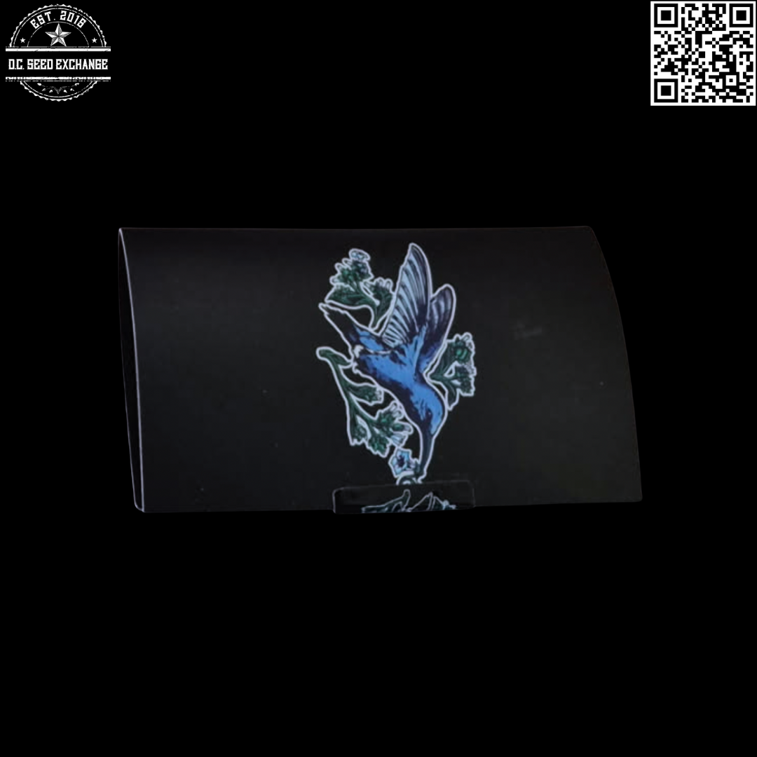 Freeborn Selections by Mean Gene From Mendocino Sky Jaro F3 #1 (Skywalker x Jaro) 10 Regular Seeds - Image 2