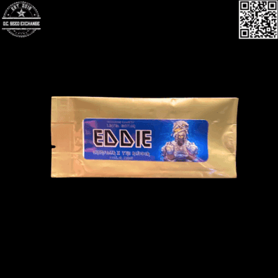 Golden Coast Genetics Eddie F1 (Rubber Afghani x Chem 4) 12 Regular Seeds
