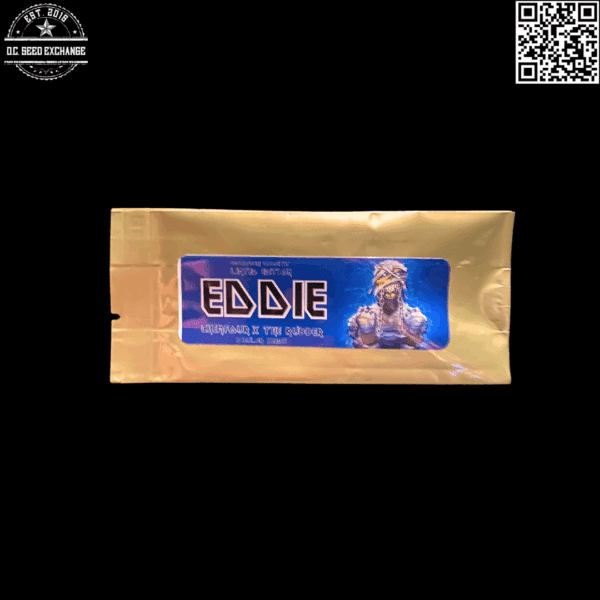 Golden Coast Genetics Eddie F1 (Rubber Afghani x Chem 4) 12 Regular Seeds