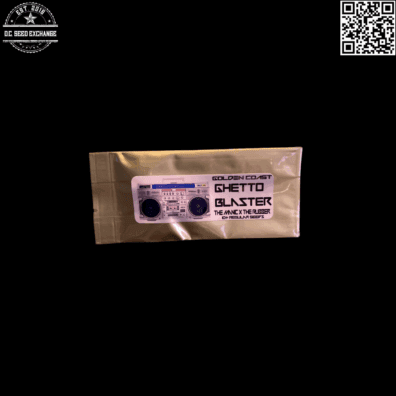 Golden Coast Genetics Ghetto Blaster (The Manic x The Rubber) 10 Regular Seeds