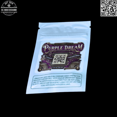 Greenpoint Seeds Purple Dream (Purple Punch x Blue Dream) 6 Feminized Seeds