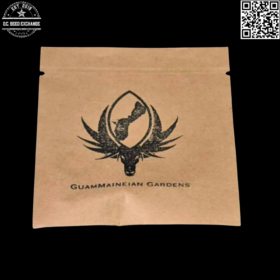 GuamMaineian Gardens SR71 F4 6 Feminized Seeds - Image 2