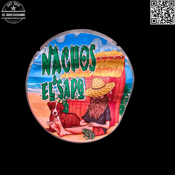 Nachos & El Sapo Backshots F2 (Drunk Driver x London Pound Cake) 12 Regular Seeds - Image 2