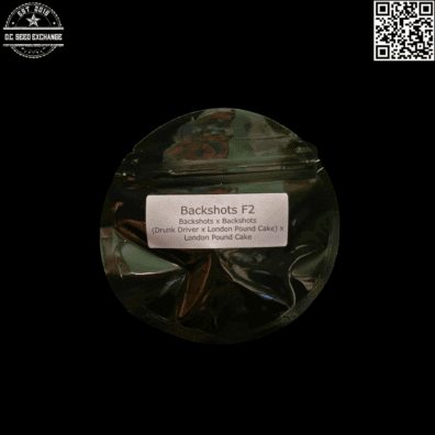 Nachos & El Sapo Backshots F2 (Drunk Driver x London Pound Cake) 12 Regular Seeds