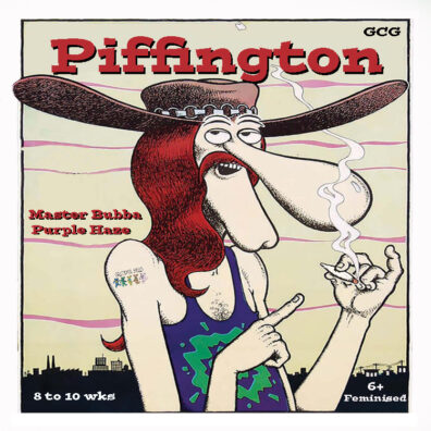 Piffington F1 (Master Bubba x Purple Haze) 6 Feminized Seeds