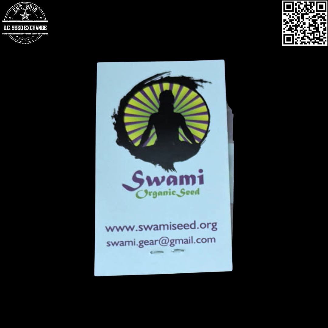 Swami Organic Seed V Shiva BX1 12 Regular Seeds - Image 2