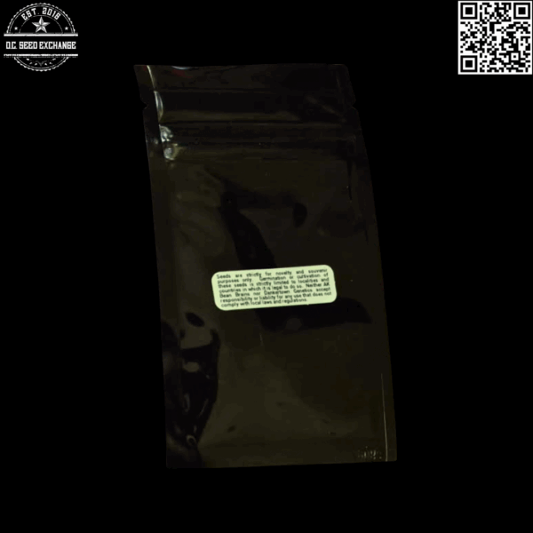AK Bean Brains Durbalayan F1 (Durban F3 x 1977 Himalayan/Skunk) 12 Regular Seeds - Image 2