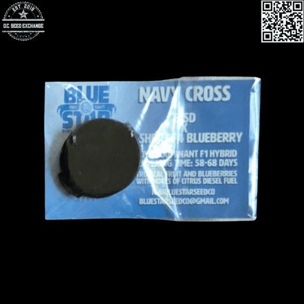 Blue Star Seed Co Navy Cross F1 (East Coast Sour Diesel x Blueberry F4) 13 Regular Seeds - Image 11