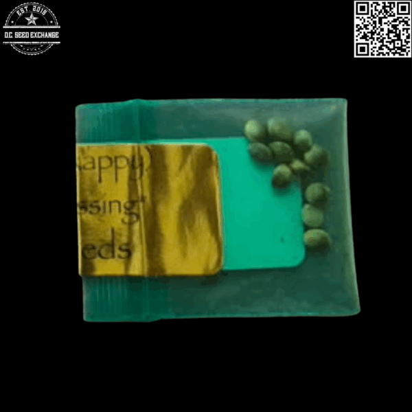 Bodhi Seeds Cobra Lips (Chemdawg 3 x Appalachia) 11 Regular Seeds - Image 2
