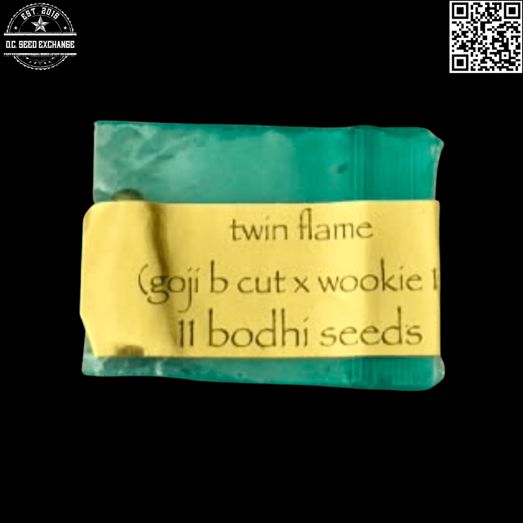 Bodhi Seeds Twin Flame F1 (Gogi OG x Wookie 15) 11 Regular Seeds