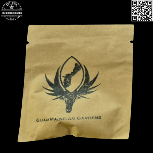GuamMaineian Gardens Chamhaole F3 (Underdawg D x [{Dragon's Blood Hashplant x Afgooey} x White Cherry Truffle]) 10 Regular Seeds - Image 10