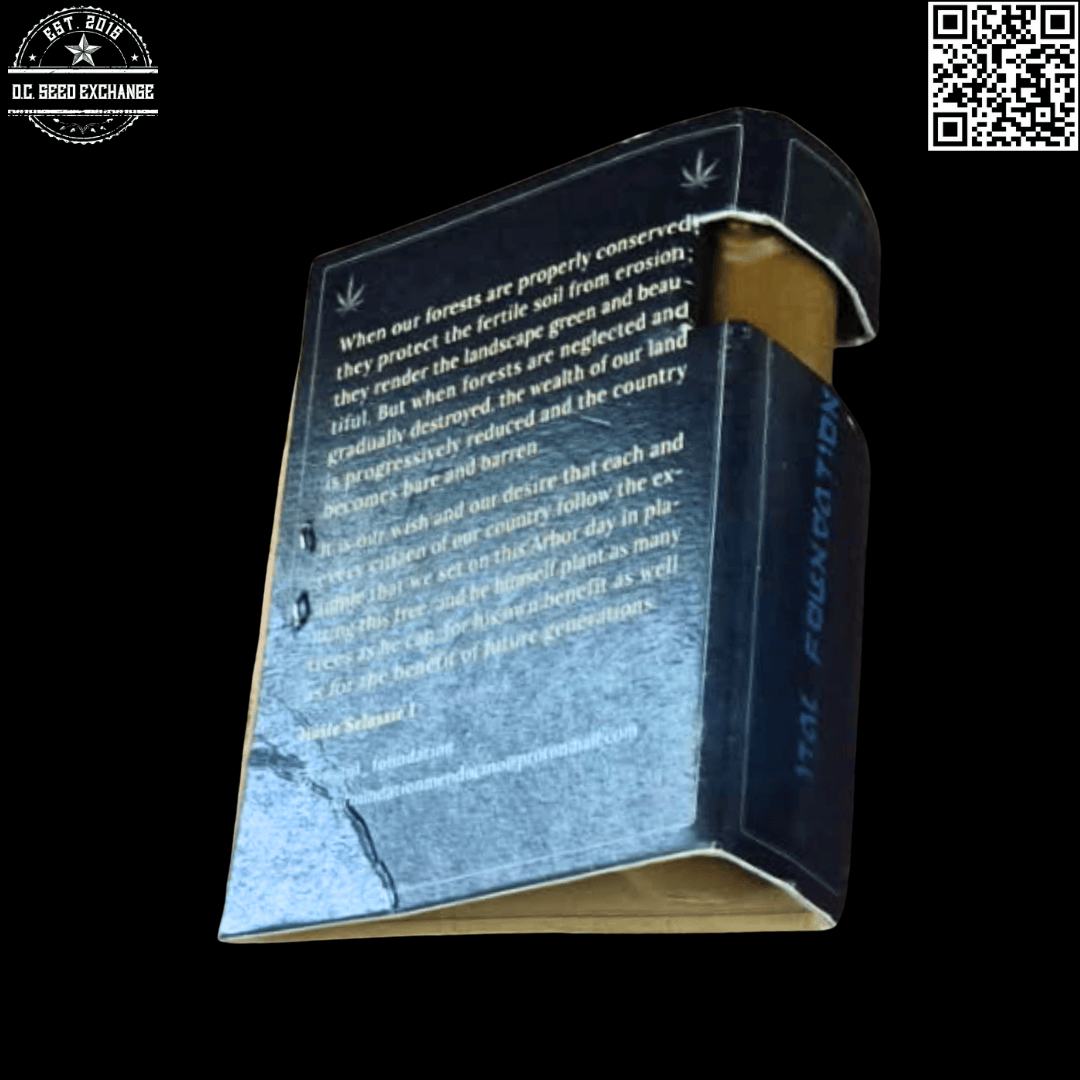 Ital Foundation Creme Brulee Jamaican Ice Headband 10 Regular Seeds - Image 2