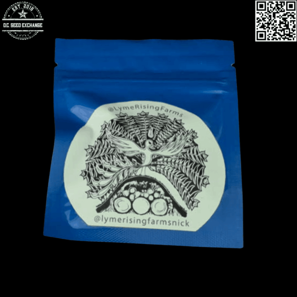 Lyme Rising Farms The Work F2 10 Regular Seeds - Image 3