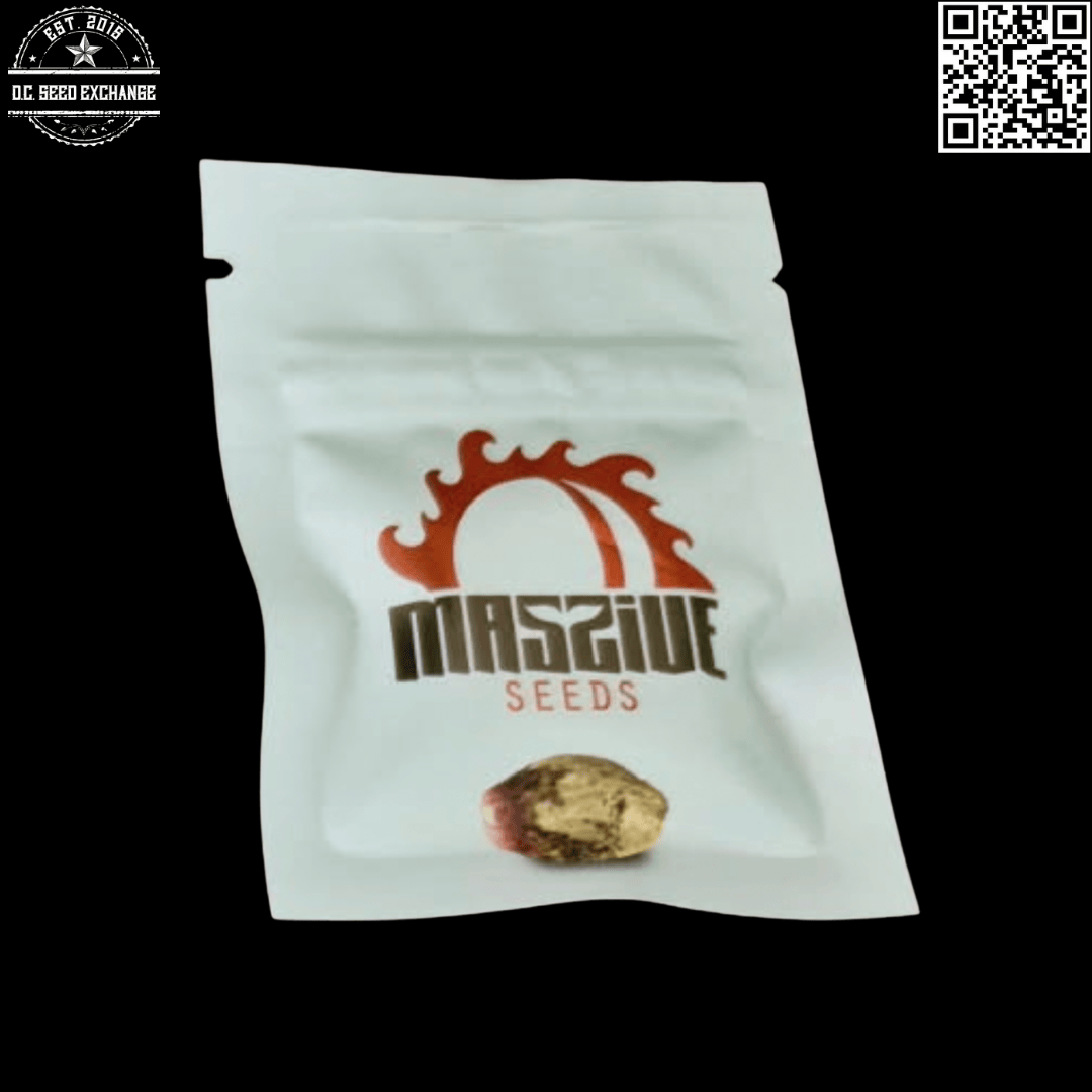 Massive Seeds Summer Sunset OG F1 (Purple Hindu Kush x Lemon Larry OG) 10 Regular Seeds - Image 2