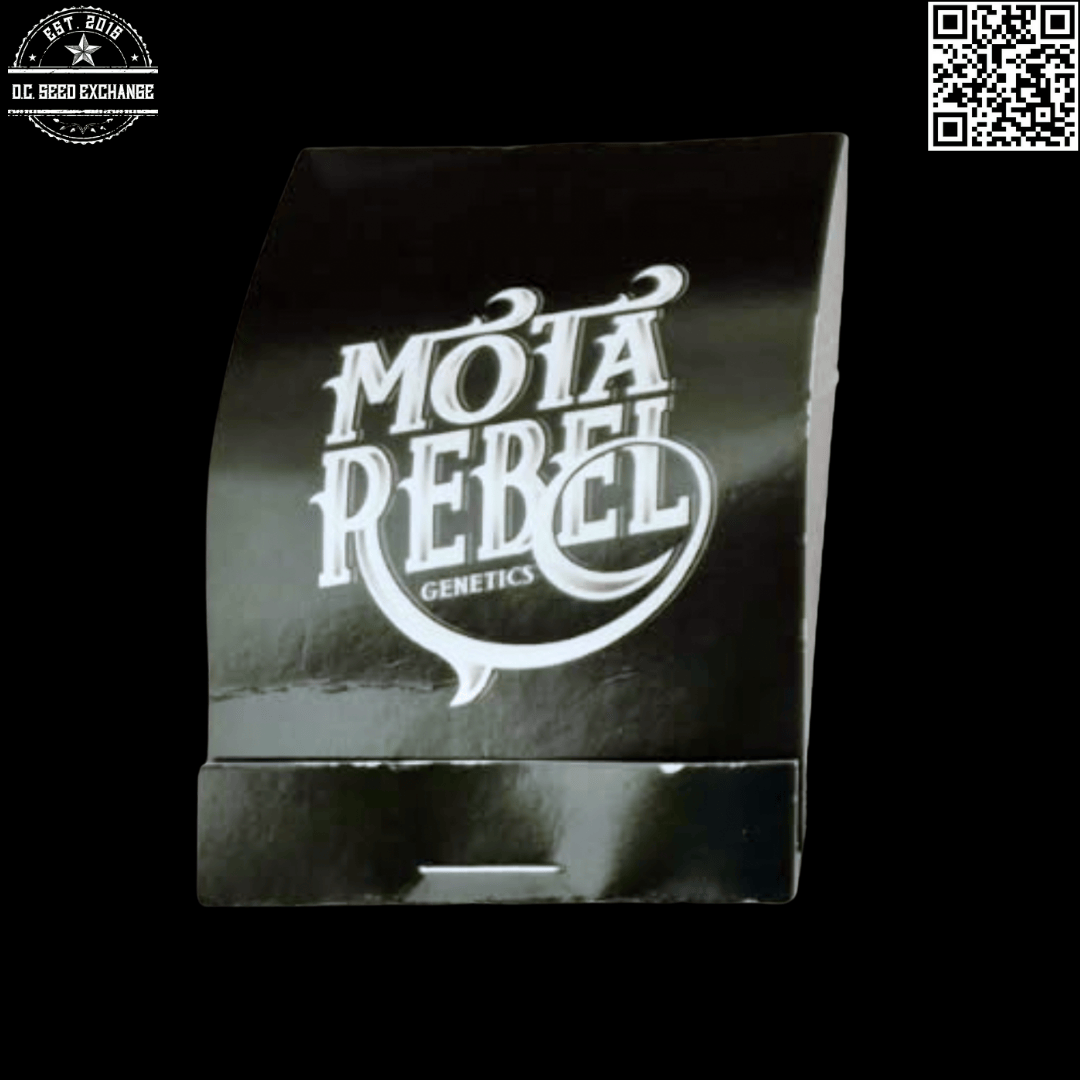 Mota Rebel Strawberry Hashplant (Long Bottom Leaf x Lung Candy) 10 Regular Seeds - Image 2