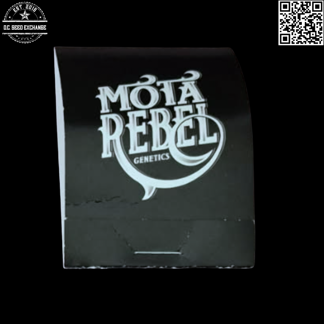 Mota Rebel Strawberry OG (Rebel OG x Lung Candy) 10 Regular Seeds - Image 2