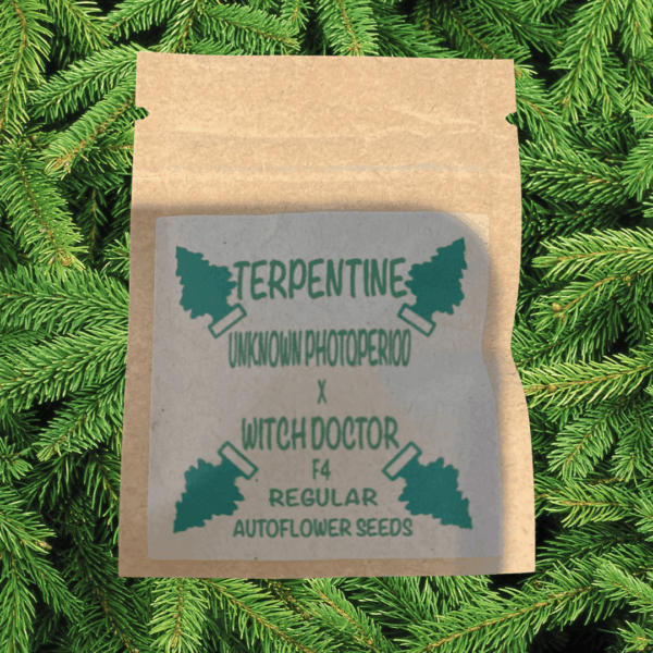 Terpentine F4 12 Regular Autoflower Seeds