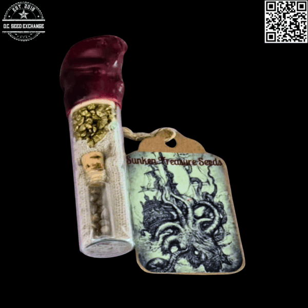 Sunken Treasure Seeds Purple Heart (High School Sweetheart x Mendo Purps) 10 Regular Seeds - Image 3