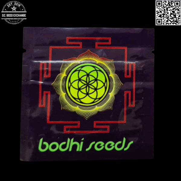 Bodhi Seeds "Supernatural Selections" Portable Spaceship (Pure Kush x Lao x Kashmir) 11 Regular Seeds - Image 2
