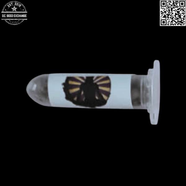 Swami Organic Seeds Chemdog x D Northern Lights #5 12 Regular Seeds - Image 2