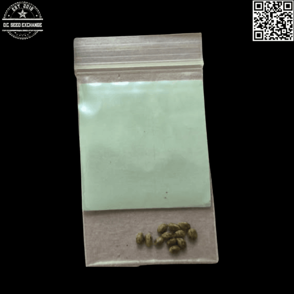 BOG Seeds Sweet & Sour Cindy (Sweet Cindy x Sour Bubble) 12 Regular Seeds - Image 2