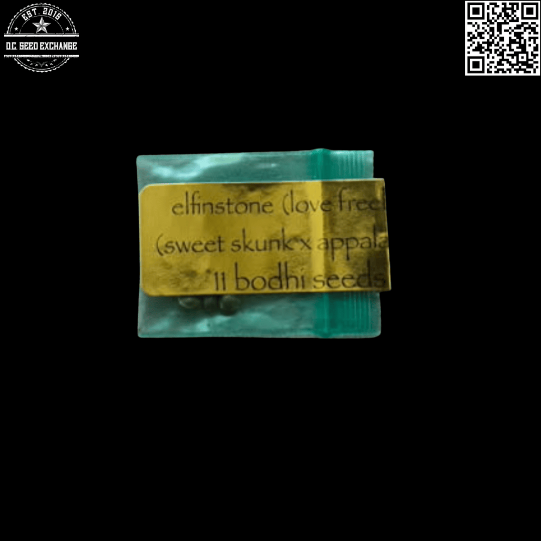 Bodhi Seeds Elfinstone (Sweet Skunk x Appalachian) 11 Regular Seeds