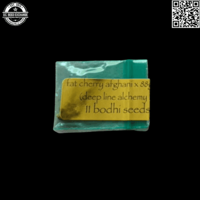 Bodhi Seeds Fat Cherry Afghani x 88g13hp (DLA 10) 11 Regular Seeds