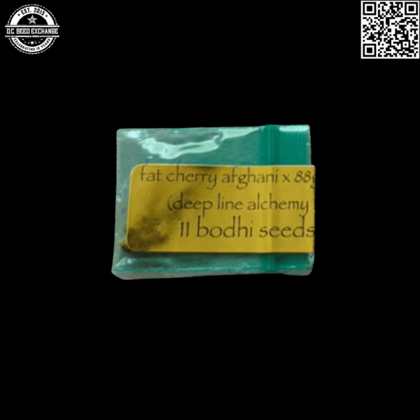Bodhi Seeds Fat Cherry Afghani x 88g13hp (DLA 10) 11 Regular Seeds