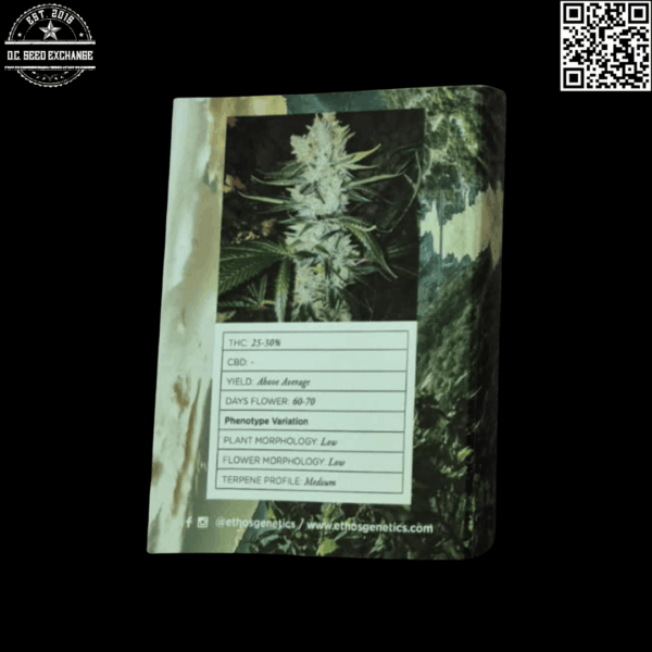 Ethos Genetics Gorilla Glue #4 S1 6 Feminized Seeds - Image 2