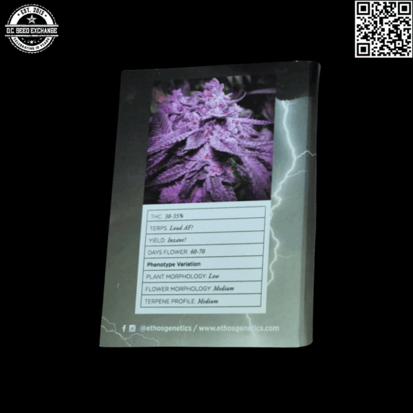Ethos Genetics Inzane in the Membrane (Noenya x Bizness) 6 Feminized Seeds - Image 3