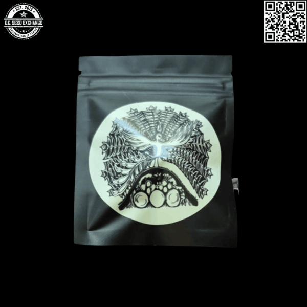 Lyme Rising Farm The Work F1 (Black Lime Reserve/Testarossa x Pam F2) 10 Regular Seeds - Image 3