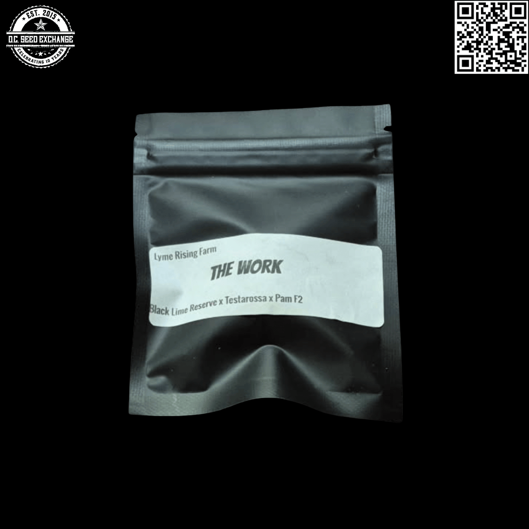 Lyme Rising Farm The Work F1 (Black Lime Reserve/Testarossa x Pam F2) 10 Regular Seeds